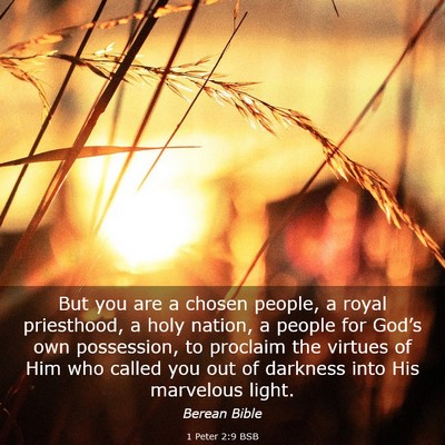 Picture 03 - 1 Peter 2:9 BSB - But you are a chosen people, a royal priesthood, - Bible Verse Picture