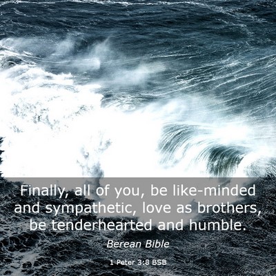 Picture 03 - 1 Peter 3:8 BSB - Finally, all of you, be like-minded and - Bible Verse Picture