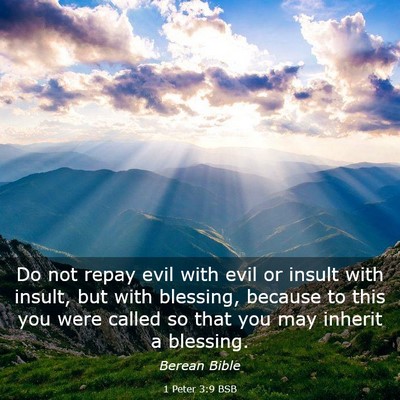 Picture 03 - 1 Peter 3:9 BSB - Do not repay evil with evil or insult with - Bible Verse Picture