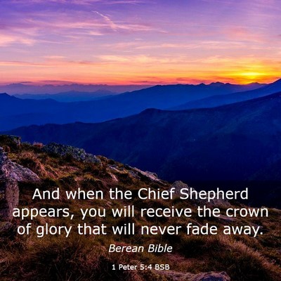 Picture 03 - 1 Peter 5:4 BSB - And when the Chief Shepherd appears, you will - Bible Verse Picture