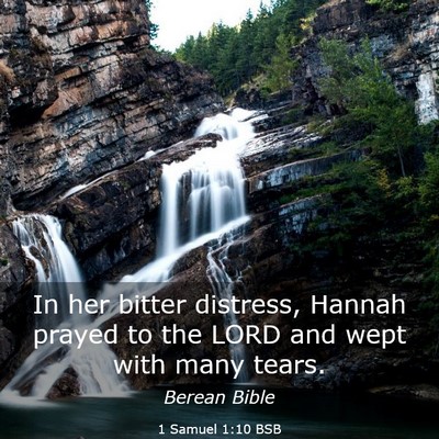 Picture 03 - 1 Samuel 1:10 BSB - In her bitter distress, Hannah prayed to the LORD - Bible Verse Picture