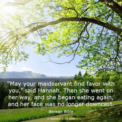 Picture 03 - 1 Samuel 1:18 BSB - “May your maidservant find favor with you,” - Bible Verse Picture