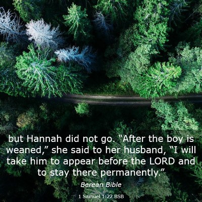 Picture 03 - 1 Samuel 1:22 BSB - but Hannah did not go. “After the boy is - Bible Verse Picture