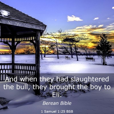 Picture 03 - 1 Samuel 1:25 BSB - And when they had slaughtered the bull, they - Bible Verse Picture