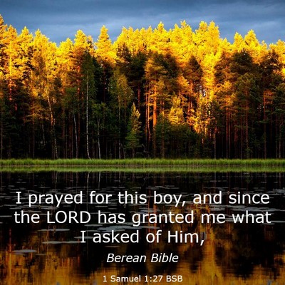 Picture 03 - 1 Samuel 1:27 BSB - I prayed for this boy, and since the LORD has - Bible Verse Picture