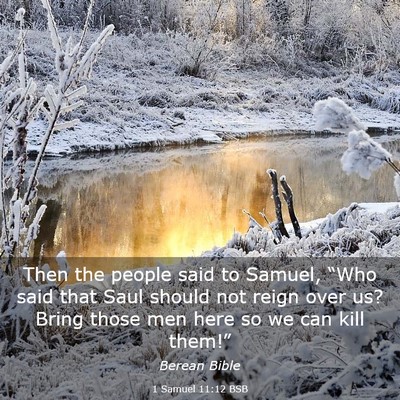 Picture 03 - 1 Samuel 11:12 BSB - Then the people said to Samuel, “Who said that - Bible Verse Picture