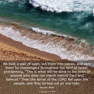 Picture 03 - 1 Samuel 11:7 BSB - He took a pair of oxen, cut them into pieces, and - Bible Verse Picture