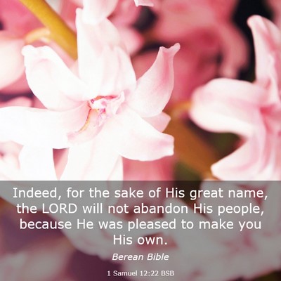 Picture 03 - 1 Samuel 12:22 BSB - Indeed, for the sake of His great name, the LORD - Bible Verse Picture