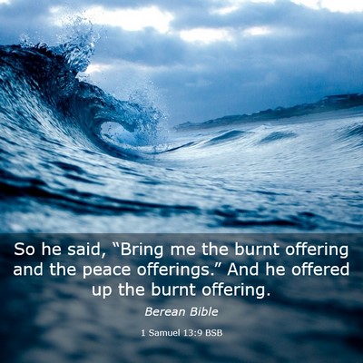 Picture 03 - 1 Samuel 13:9 BSB - So he said, “Bring me the burnt offering and - Bible Verse Picture