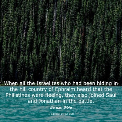 Picture 03 - 1 Samuel 14:22 BSB - When all the Israelites who had been hiding in - Bible Verse Picture