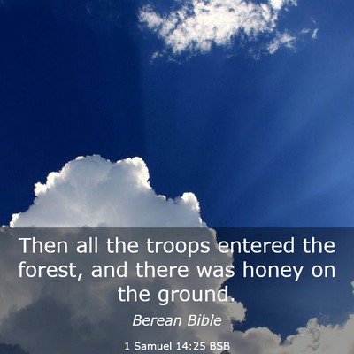 Picture 03 - 1 Samuel 14:25 BSB - Then all the troops entered the forest, and there - Bible Verse Picture