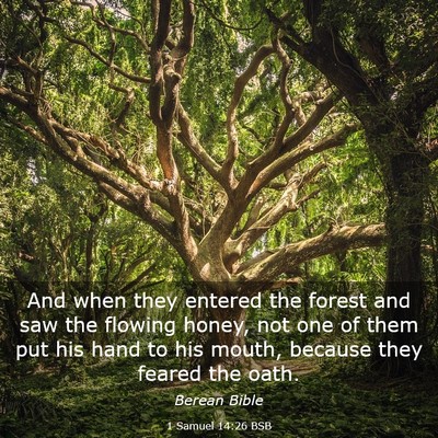 Picture 03 - 1 Samuel 14:26 BSB - And when they entered the forest and saw the - Bible Verse Picture