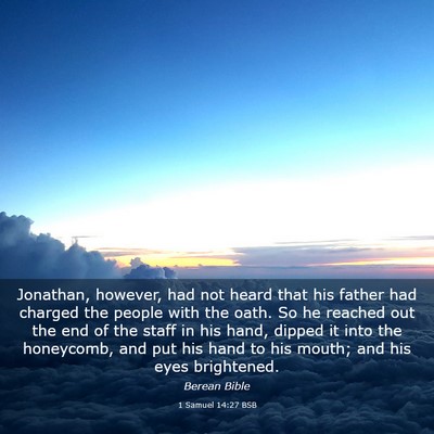 Picture 03 - 1 Samuel 14:27 BSB - Jonathan, however, had not heard that his father - Bible Verse Picture