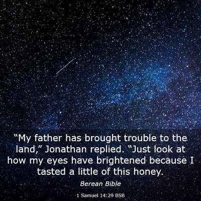 Picture 03 - 1 Samuel 14:29 BSB - “My father has brought trouble to the land,” - Bible Verse Picture