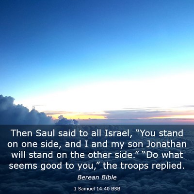 Picture 03 - 1 Samuel 14:40 BSB - Then Saul said to all Israel, “You stand on one - Bible Verse Picture