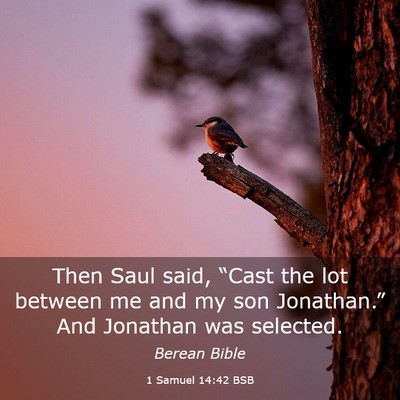 Picture 03 - 1 Samuel 14:42 BSB - Then Saul said, “Cast the lot between me and my - Bible Verse Picture