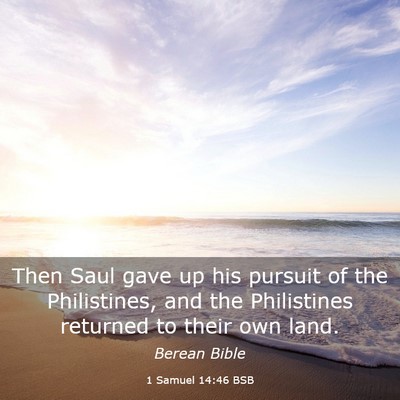 Picture 03 - 1 Samuel 14:46 BSB - Then Saul gave up his pursuit of the Philistines, - Bible Verse Picture