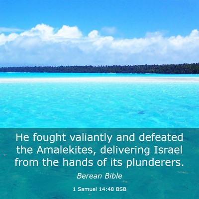 Picture 03 - 1 Samuel 14:48 BSB - He fought valiantly and defeated the Amalekites, - Bible Verse Picture