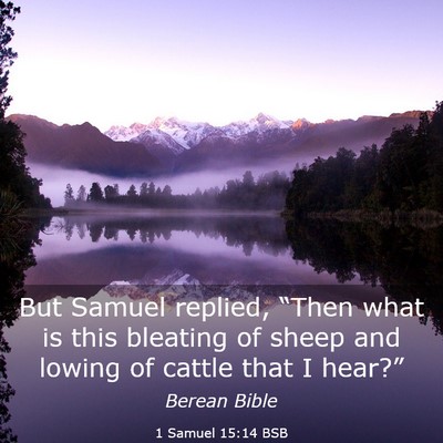 Picture 03 - 1 Samuel 15:14 BSB - But Samuel replied, “Then what is this bleating - Bible Verse Picture