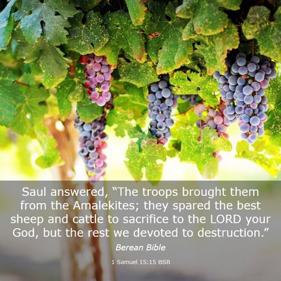 Picture 03 - 1 Samuel 15:15 BSB - Saul answered, “The troops brought them from - Bible Verse Picture