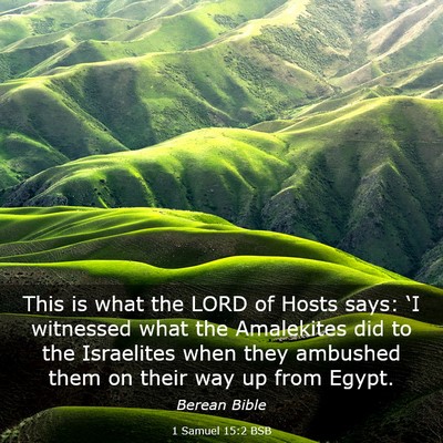 Picture 03 - 1 Samuel 15:2 BSB - This is what the LORD of Hosts says: ‘I - Bible Verse Picture