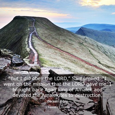 Picture 03 - 1 Samuel 15:20 BSB - “But I did obey the LORD,” Saul replied. “I - Bible Verse Picture