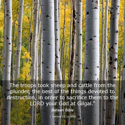 Picture 03 - 1 Samuel 15:21 BSB - The troops took sheep and cattle from the - Bible Verse Picture