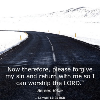 Picture 03 - 1 Samuel 15:25 BSB - Now therefore, please forgive my sin and return - Bible Verse Picture