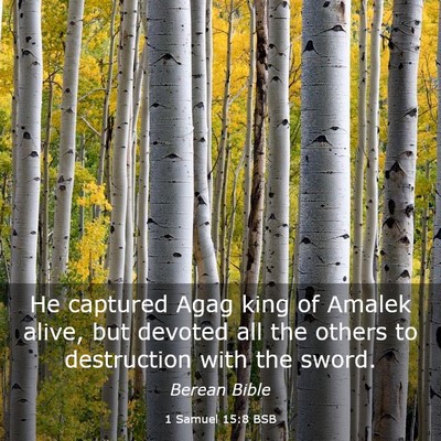 Picture 03 - 1 Samuel 15:8 BSB - He captured Agag king of Amalek alive, but - Bible Verse Picture