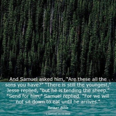 Picture 03 - 1 Samuel 16:11 BSB - And Samuel asked him, “Are these all the sons - Bible Verse Picture