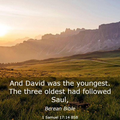 Picture 03 - 1 Samuel 17:14 BSB - And David was the youngest. The three oldest had - Bible Verse Picture