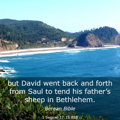 Picture 03 - 1 Samuel 17:15 BSB - but David went back and forth from Saul to tend - Bible Verse Picture
