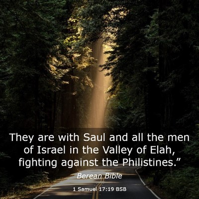 Picture 03 - 1 Samuel 17:19 BSB - They are with Saul and all the men of Israel in - Bible Verse Picture
