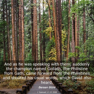 Picture 03 - 1 Samuel 17:23 BSB - And as he was speaking with them, suddenly the - Bible Verse Picture