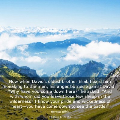 Picture 03 - 1 Samuel 17:28 BSB - Now when David’s oldest brother Eliab heard him - Bible Verse Picture