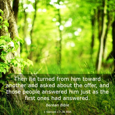 Picture 03 - 1 Samuel 17:30 BSB - Then he turned from him toward another and asked - Bible Verse Picture