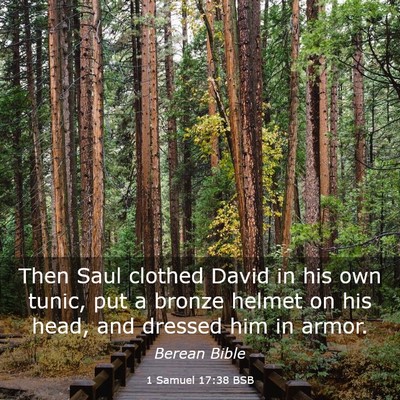Picture 03 - 1 Samuel 17:38 BSB - Then Saul clothed David in his own tunic, put a - Bible Verse Picture