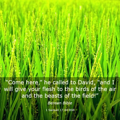 Picture 03 - 1 Samuel 17:44 BSB - “Come here,” he called to David, “and I - Bible Verse Picture