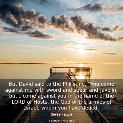 Picture 03 - 1 Samuel 17:45 BSB - But David said to the Philistine, “You come - Bible Verse Picture