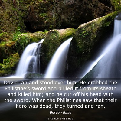 Picture 03 - 1 Samuel 17:51 BSB - David ran and stood over him. He grabbed the - Bible Verse Picture