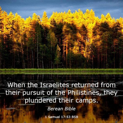 Picture 03 - 1 Samuel 17:53 BSB - When the Israelites returned from their pursuit - Bible Verse Picture