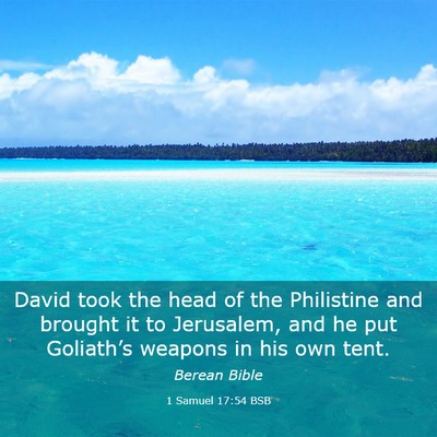 Picture 03 - 1 Samuel 17:54 BSB - David took the head of the Philistine and brought - Bible Verse Picture