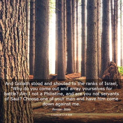 Picture 03 - 1 Samuel 17:8 BSB - And Goliath stood and shouted to the ranks of - Bible Verse Picture