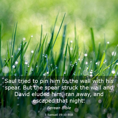 Picture 03 - 1 Samuel 19:10 BSB - Saul tried to pin him to the wall with his spear. - Bible Verse Picture