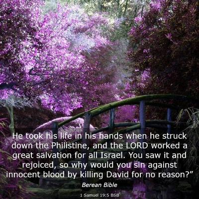 Picture 03 - 1 Samuel 19:5 BSB - He took his life in his hands when he struck down - Bible Verse Picture