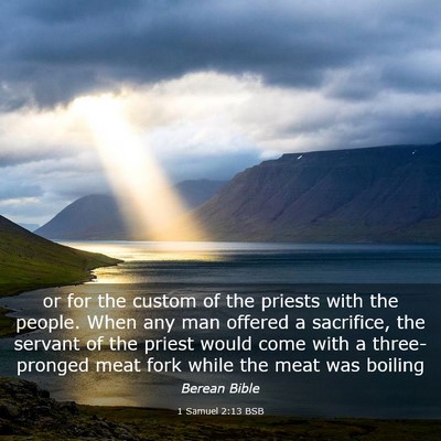 Picture 03 - 1 Samuel 2:13 BSB - or for the custom of the priests with the people. - Bible Verse Picture