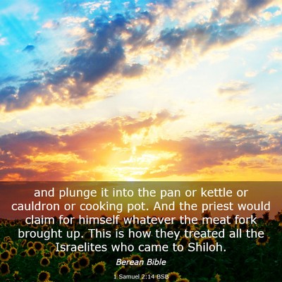 Picture 03 - 1 Samuel 2:14 BSB - and plunge it into the pan or kettle or cauldron - Bible Verse Picture
