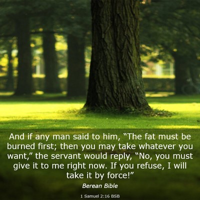 Picture 03 - 1 Samuel 2:16 BSB - And if any man said to him, “The fat must be - Bible Verse Picture