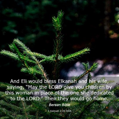 Picture 03 - 1 Samuel 2:20 BSB - And Eli would bless Elkanah and his wife, saying, - Bible Verse Picture
