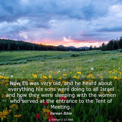 Picture 03 - 1 Samuel 2:22 BSB - Now Eli was very old, and he heard about - Bible Verse Picture